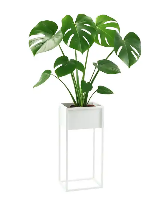 Wysoka jakość Kwietnik Metalowy CUBO 80x40cm biały