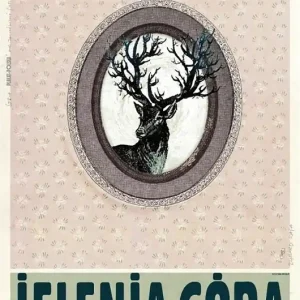 Plakat Jelenia Góra (R. Kaja) 98x68 cm Super okazja