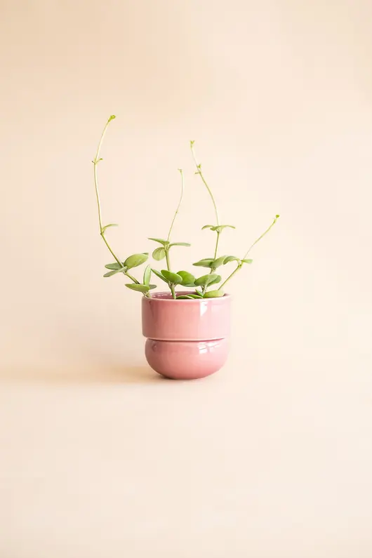Osłonka Runo RÓŻ JASNY (mini) Ø 9,5cm Ostatnie sztuki