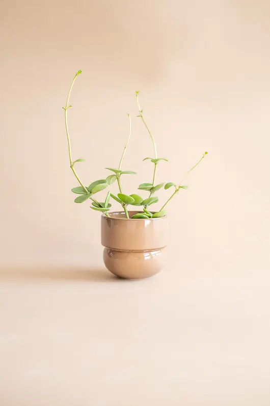 Osłonka Runo KARMELOWA (mini) Ø 9,5cm Darmowy zwrot