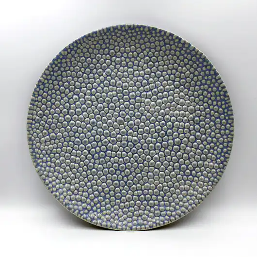 Bezpieczna płatność Talerz Mikrostruktura 22cm