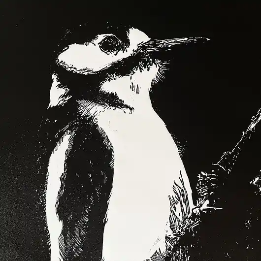 Linoryt "Dzięcioł" - odbitka 40/60 cm, papier 50/70 cm Wyjątkowa oferta