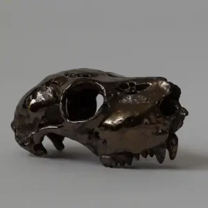Kup online Ceramiczna Czaszka
