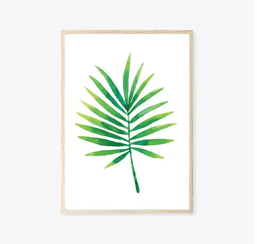 PLAKAT botaniczny Liść palmy Palma Zamów teraz