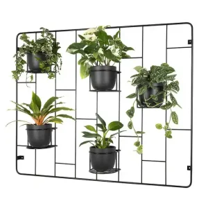 Kwietnik Hedera - zestaw 1 czarny Oferta limitowana