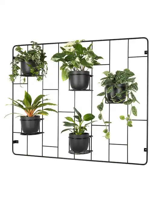 Kwietnik Hedera - zestaw 1 czarny Oferta limitowana