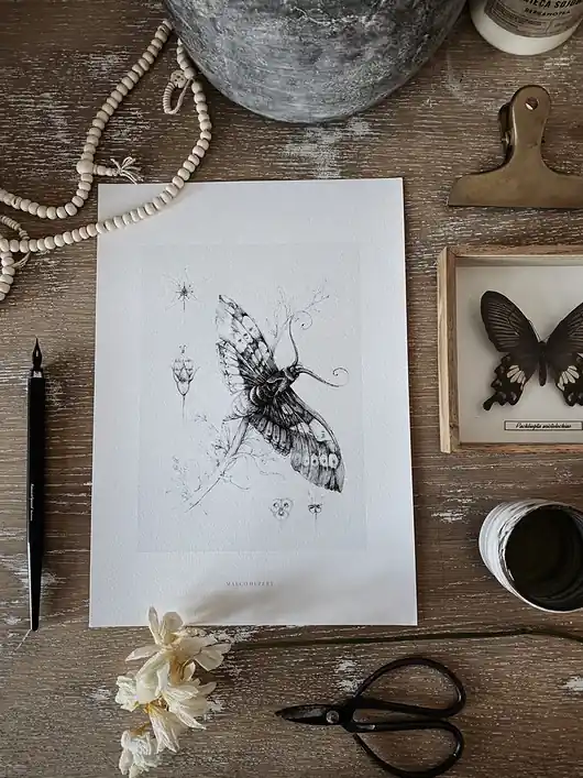 Motyl print 30x40 cm Kup online