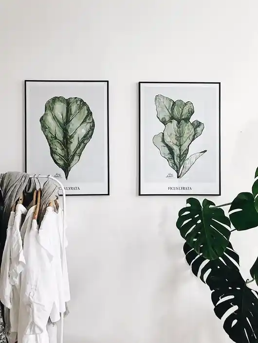 Ekspresowa dostawa Plakat Komplet dwóch wydruków 40x50 cm