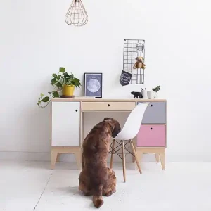 Wybór klientów FUSS biurko