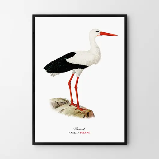 Plakat BOCIAN Szybka dostawa