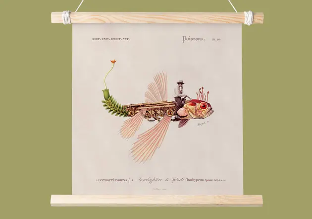 Popularny Plakat Fishboy