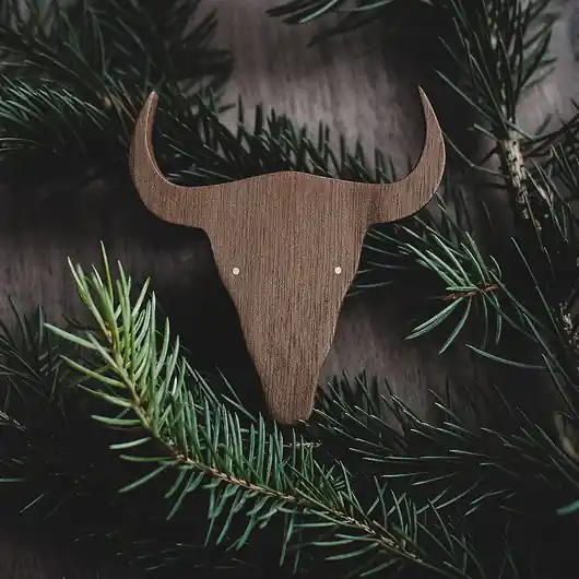 NOOSIE Bison Nie przegap