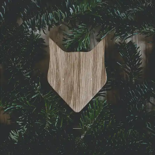 NOOSIE Fox Oak Ograniczona ilość