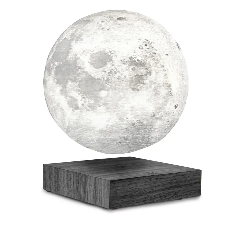 Czarna dekoracja świetlna do kontaktu ø 12 cm Moon – Gingko Bonami Sprawdź teraz