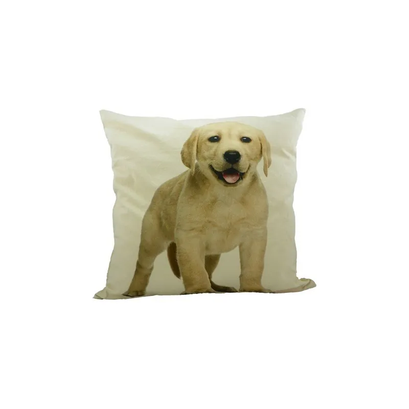 Łatwy zwrot Poduszka Labrador Blond 50x50 cm Bonami