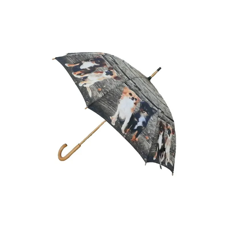 Zamów dziś Parasol Chihuahua Family Bonami