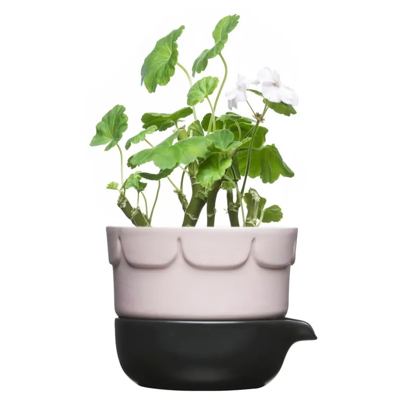 Bestseller Porcelanowa doniczka Sagaform z miską do podlewania Sagaform Bonami