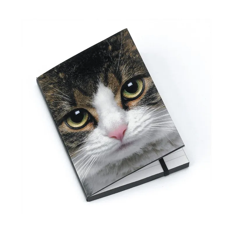 Hit sprzedaży Notes A6 Tabby Cat Bonami