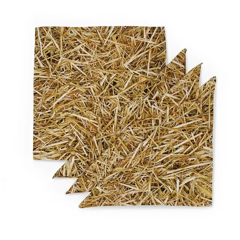 Komplet czterech podkładek Słoma, 37x37 cm Bonami Oferta czasowa