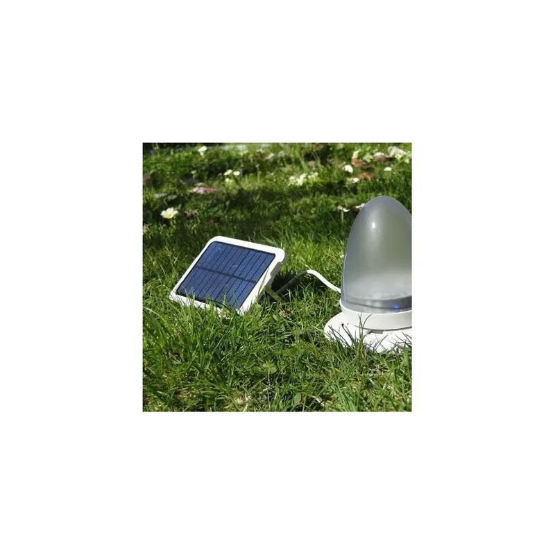 Zamów teraz Ładowarka solarna z kompasem SunLite Bonami