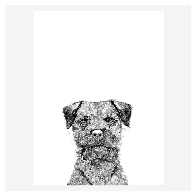 Plakat Baxter The Border Terrier, 30x40 cm Bonami Darmowy zwrot
