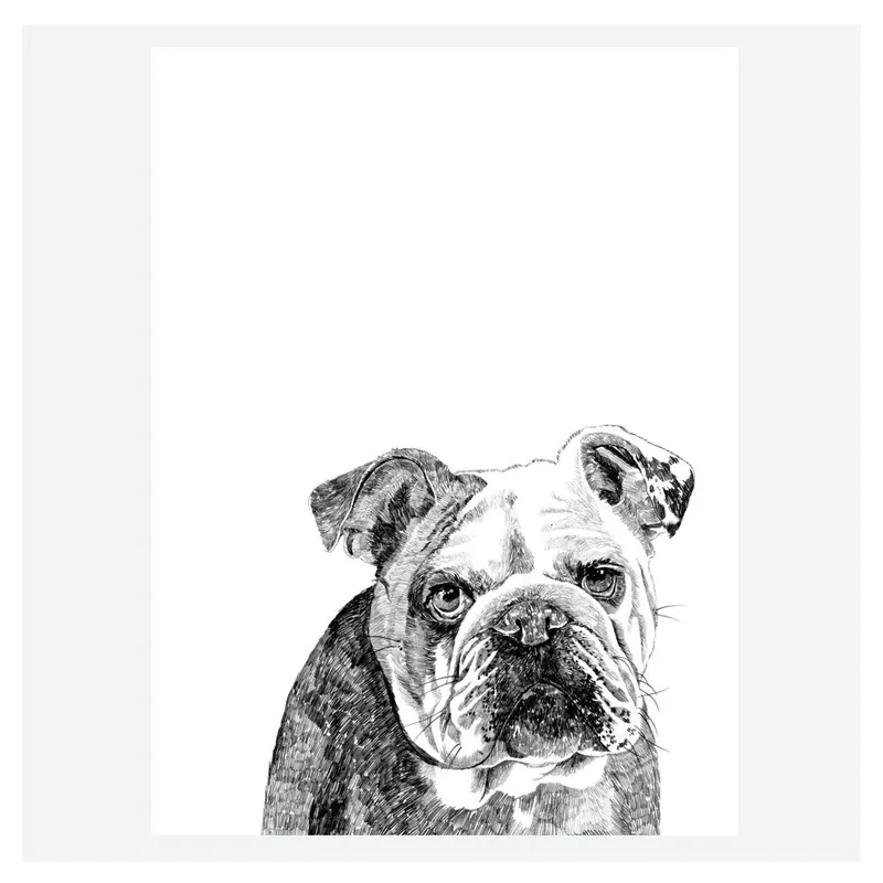 Wysoka jakość Plakat Leonard The British Bulldog, 30x40 cm Bonami