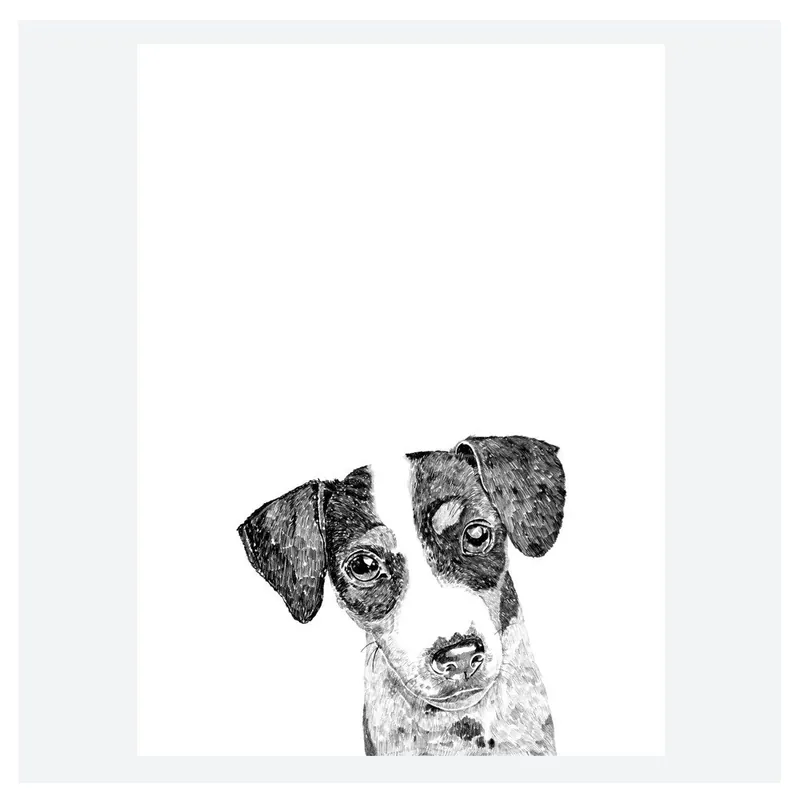 Plakat Ziggy The Jack Russell, 30x40 cm Bonami Obniżka ceny