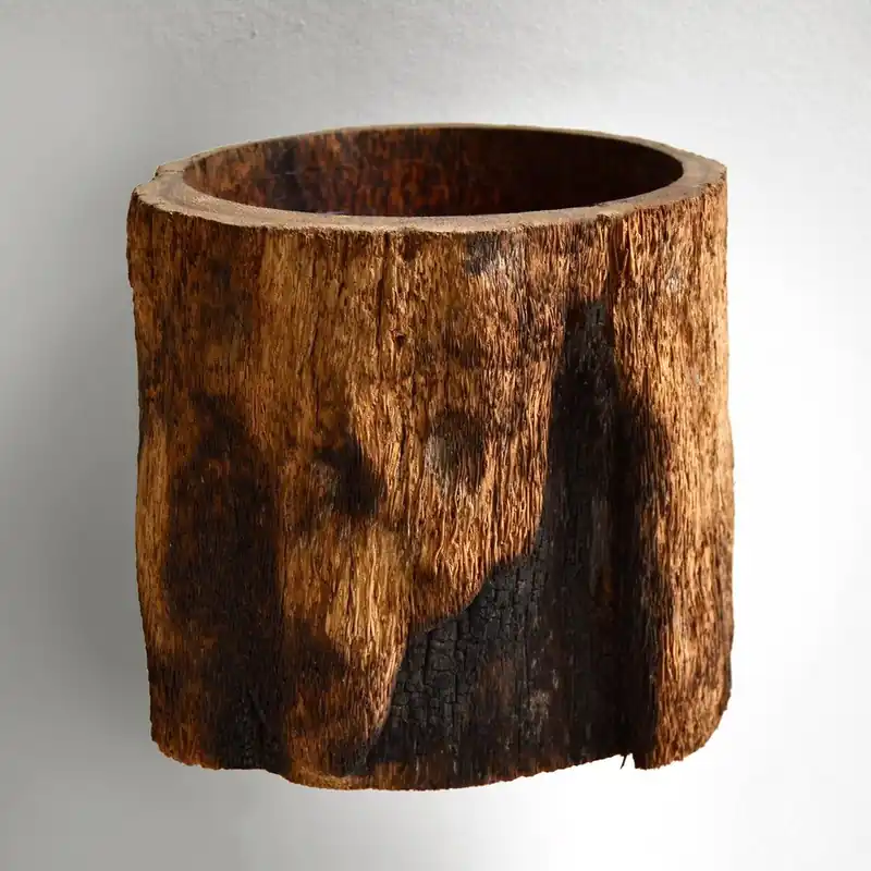 Palmowa donica Wood, 22 cm Bonami Najlepsza cena