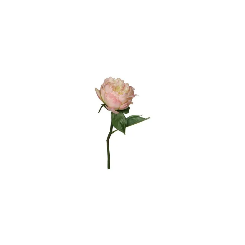 Hit cenowy Sztuczny kwiat Peony Cream, 33 cm Bonami