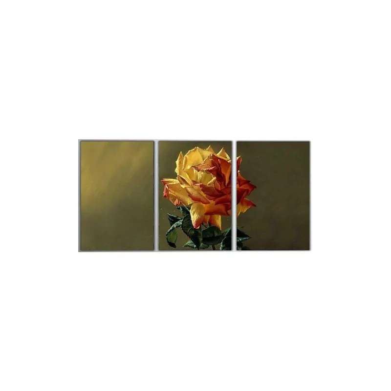 Trzyczęściowy obraz Yellow Rose, 45x90 cm Bonami Hit cenowy
