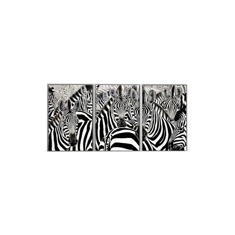 Trzyczęściowy obraz Zebras, 45x90 cm Bonami Nowość
