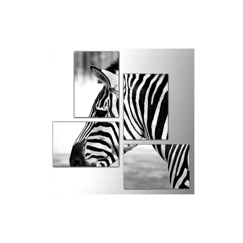 Zamów teraz Czteroczęściowy obraz Zebra, 76x76 cm Bonami