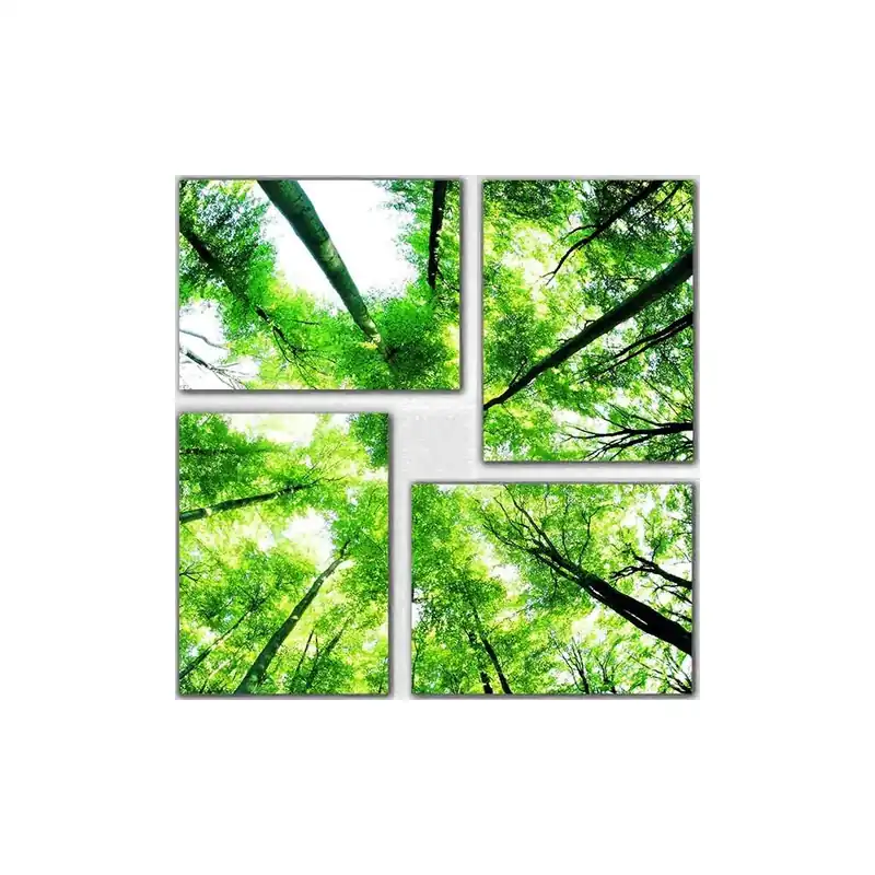 Czteroczęściowy obraz Natural, 76x76 cm Bonami Promocja