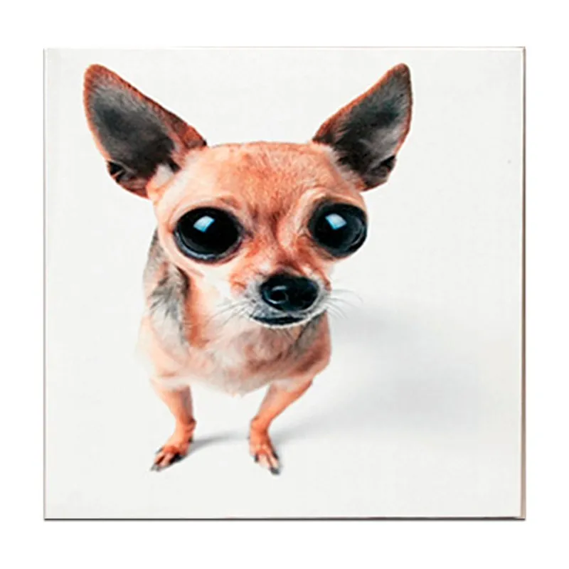 Drewniana tabliczka Chichuahua Puppies, 30x30 cm Bonami Okazja
