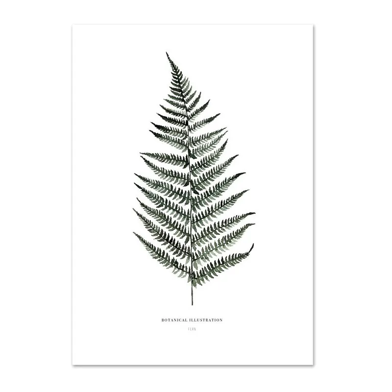 Oferta Plakat Leo La Douce Fern, 21x29,7 cm Bonami