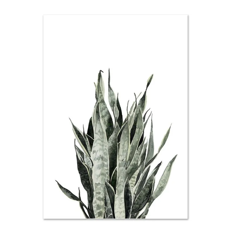 Popularny Plakat Leo La Douce Sansevieria, 29,7x42 cm Bonami