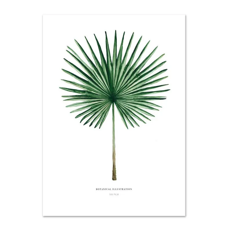 Bestseller Plakat Leou La Douce Fan Palm, 42x59,4 cm Bonami