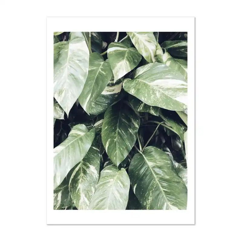 Dostępne od ręki Plakat HF Living Botanic Palms, 50x70 cm Bonami