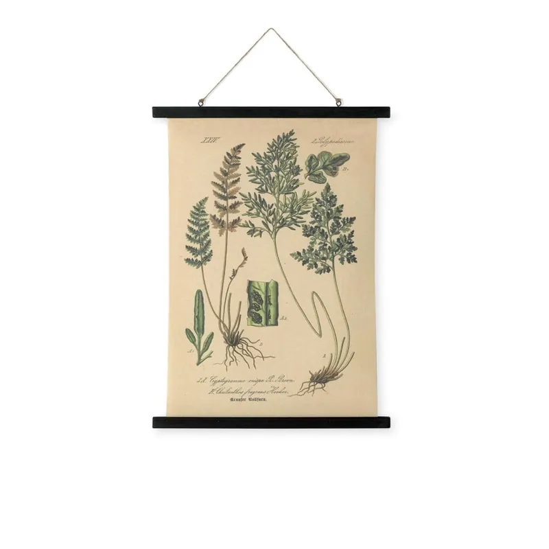 Wyjątkowa oferta Plakat lninay na drewnianym drążku HF Living Thorn, 55x75 cm Bonami