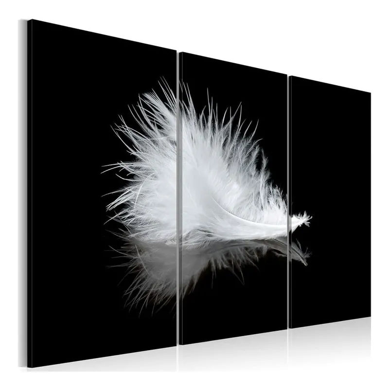 Wyjątkowa oferta Obraz na płótnie Artgeist Feather, 120x80 cm Bonami