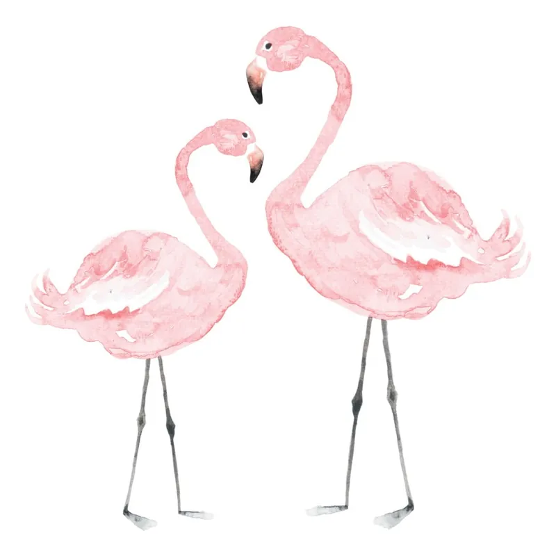 Hit sprzedaży Naklejka ścienna Dekornik Flamingos, 55x55 cm Bonami