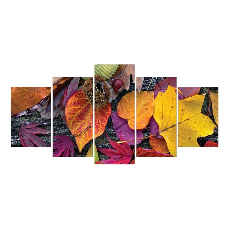 Do wyczerpania zapasów Wieloczęściowy obraz La Maison Des Couleurs Leaves Bonami