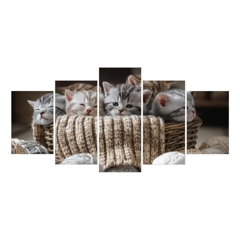 Dostępne od ręki Wieloczęściowy obraz La Maison Des Couleurs Kittens Bonami