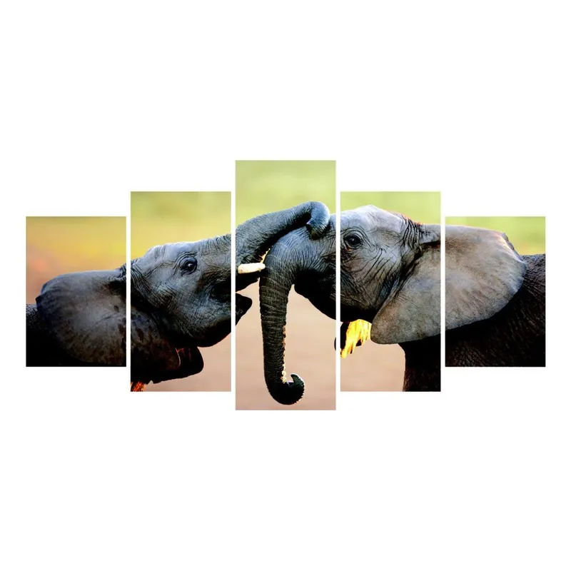 Ograniczona ilość Wieloczęściowy obraz La Maison Des Couleurs Elephants Bonami