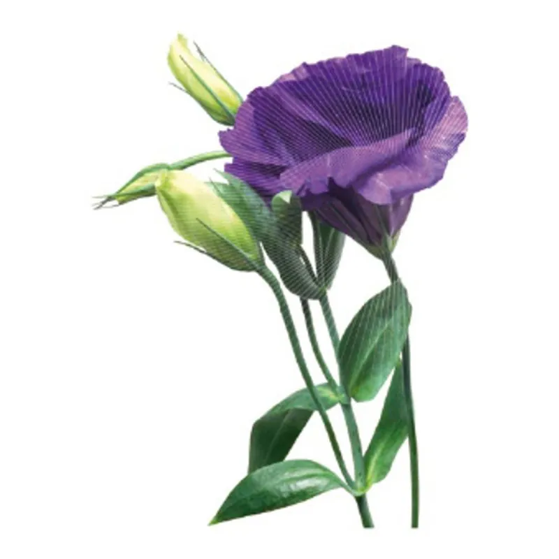 Naklejka dekoracyjna CousCous Lisianthus Bonami Nowość